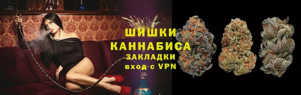 хмурый Ладушкин
