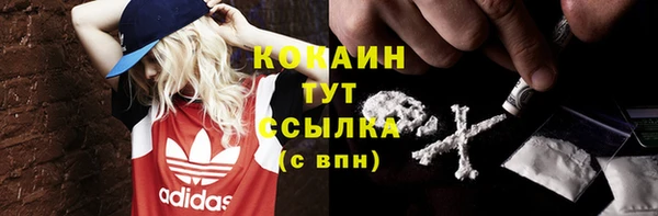 хмурый Ладушкин