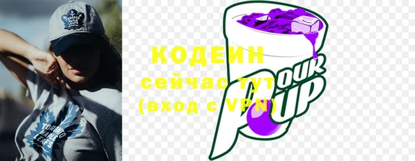 хмурый Ладушкин