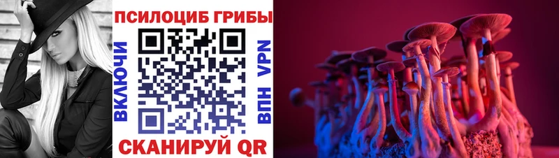 Купить закладки  Малоархангельск  Псилоцибиновые грибы ЛСД 